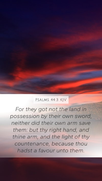 Psalms 44:3 KJV Bible Verse Image