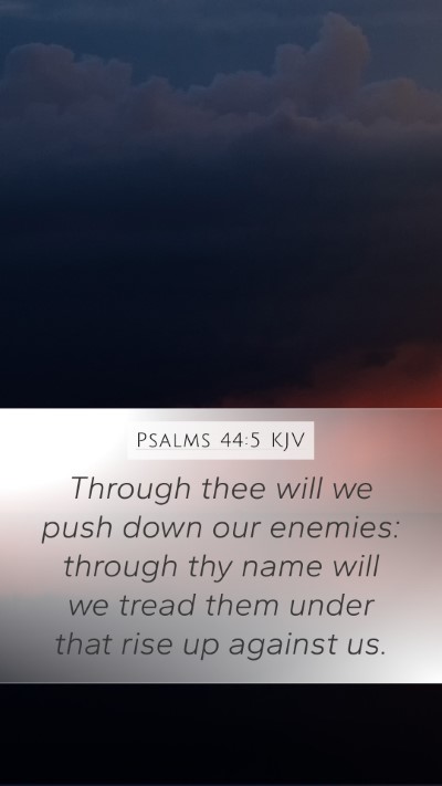 Psalms 44:5 KJV Bible Verse Image