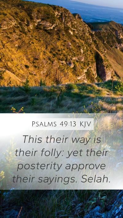 Psalms 49:13 KJV Mobile Phone Wallpaper - This their way is their folly: yet their - Mobile Bible Verse Wallpaper