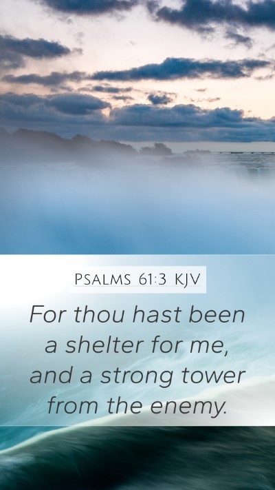 Psalms 61:3 KJV Bible Verse Image