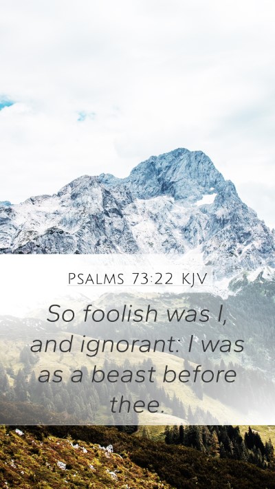 Psalms 73:22 KJV Bible Verse Image
