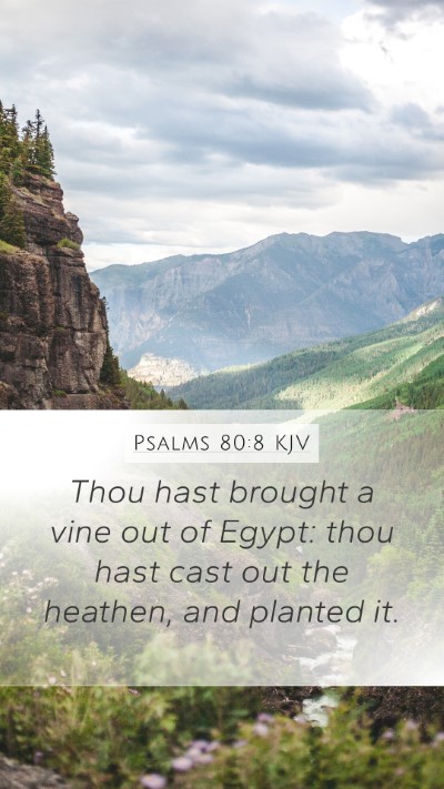 Psalms 80:8 KJV Bible Verse Image
