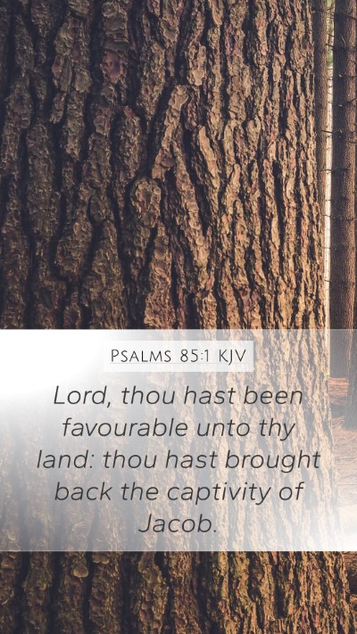 Psalms 85:1 KJV Mobile Phone Wallpaper - Lord, thou hast been favourable unto thy land: - Mobile Bible Verse Wallpaper