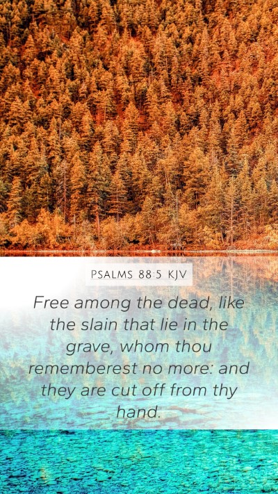 Psalms 88:5 KJV Bible Verse Image