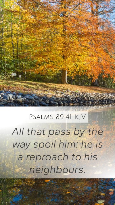 Psalms 89:41 KJV Bible Verse Image