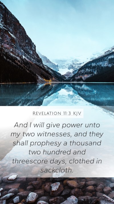 Revelation 11:3 KJV Bible Verse Image