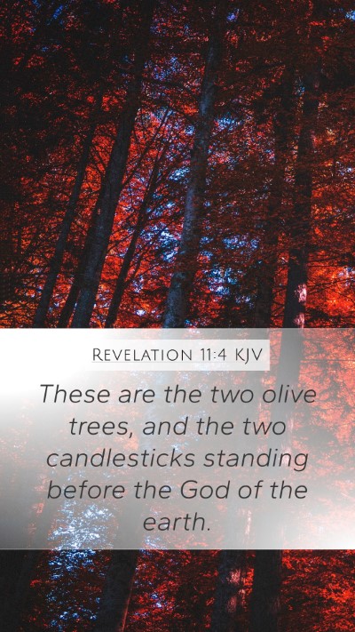 Revelation 11:4 KJV Bible Verse Image