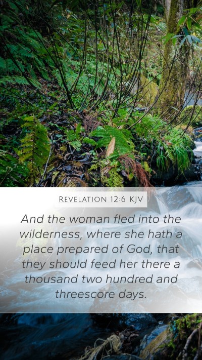Revelation 12:6 KJV Bible Verse Image