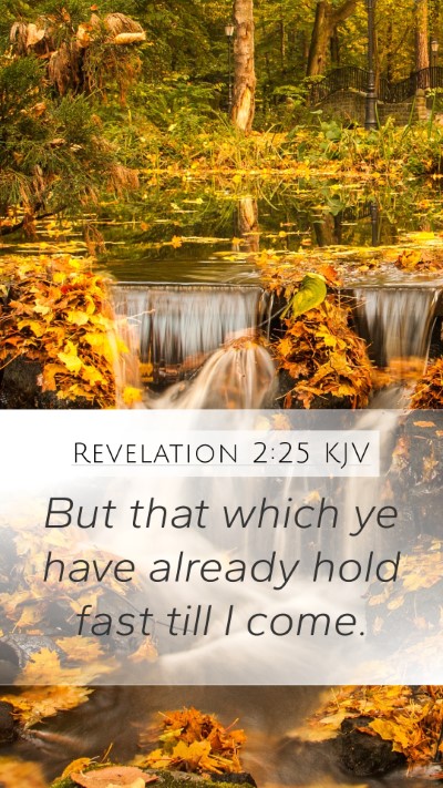 Revelation 2:25 KJV Bible Verse Image