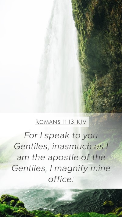 Romans 11:13 KJV Bible Verse Image