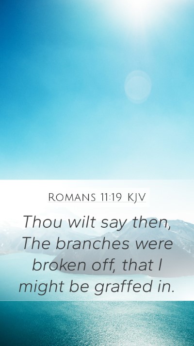 Romans 11:19 KJV Bible Verse Image