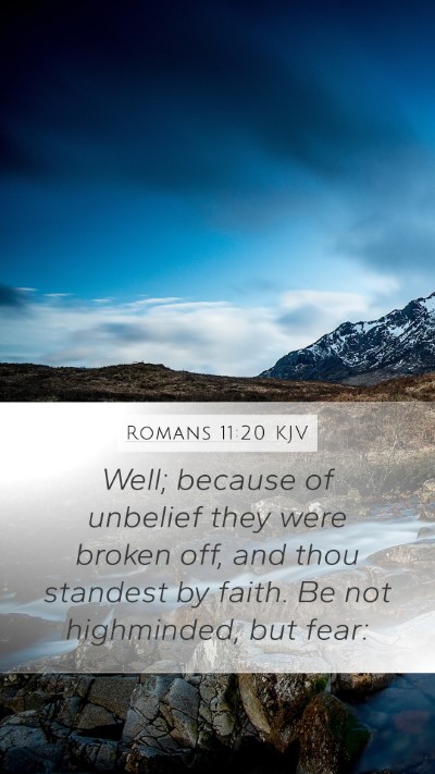 Romans 11:20 KJV Bible Verse Image