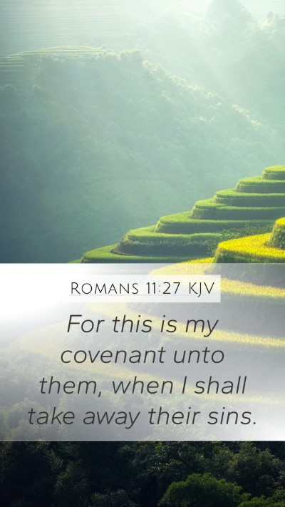 Romans 11:27 KJV Bible Verse Image