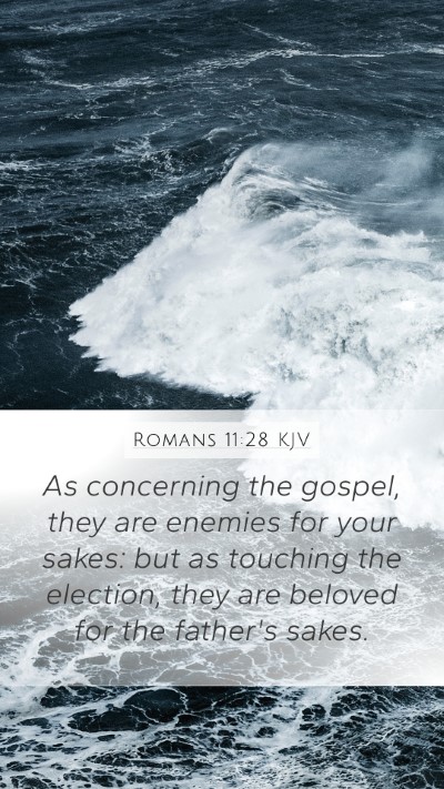 Romans 11:28 KJV Bible Verse Image