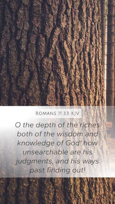 Romans 11:33 KJV Bible Verse Image