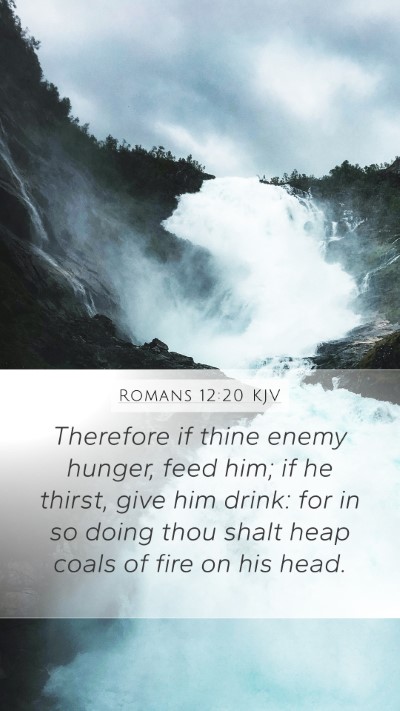 Romans 12:20 KJV Bible Verse Image
