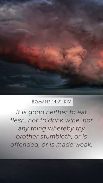 Romans 14:21 KJV Bible Verse Image