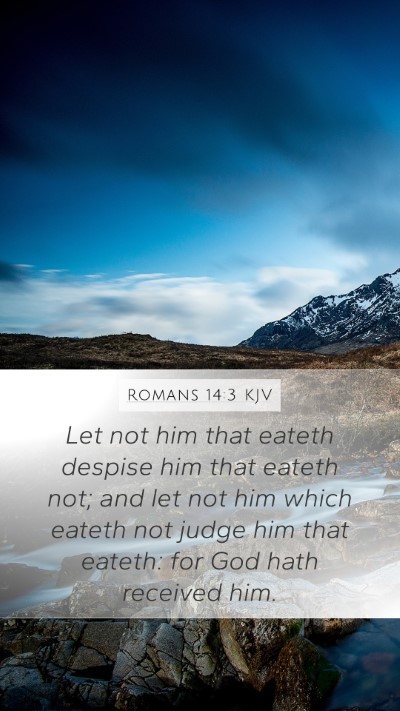 Romans 14:3 KJV Bible Verse Image