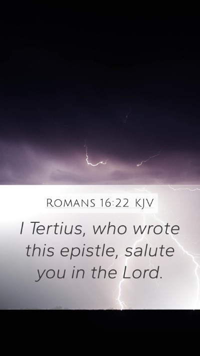 Romans 16:22 KJV Bible Verse Image