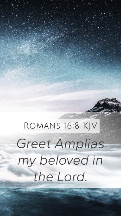 Romans 16:8 KJV Mobile Phone Wallpaper - Greet Amplias my beloved in the - Mobile Bible Verse Wallpaper