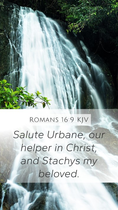 Romans 16:9 KJV Bible Verse Image