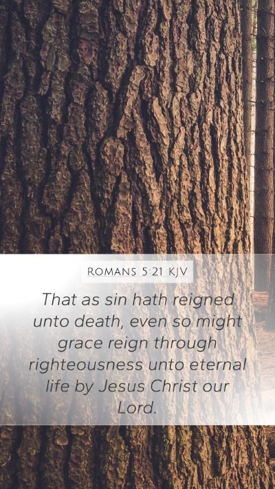 Romans 5:21 KJV Bible Verse Image