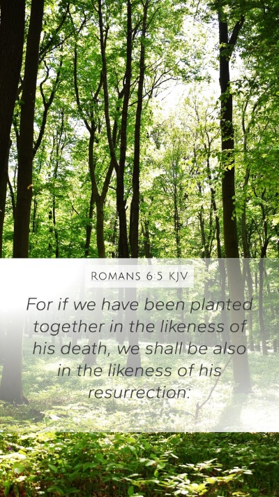 Romans 6:5 KJV Bible Verse Image