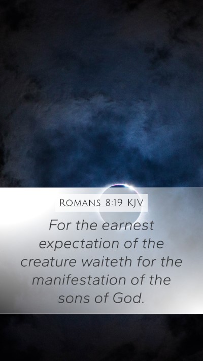 Romans 8:19 KJV Bible Verse Image