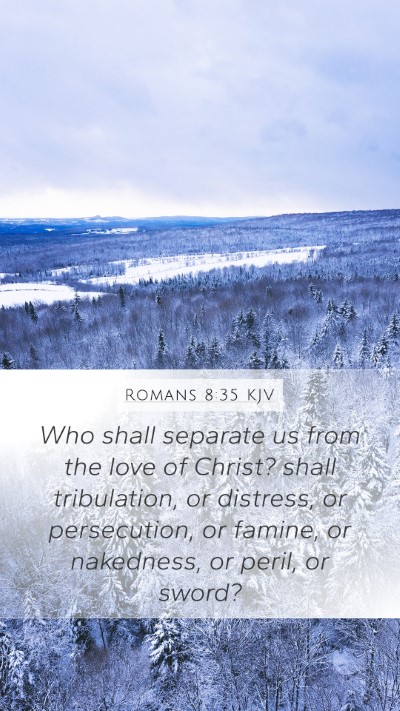 Romans 8:35 KJV Bible Verse Image