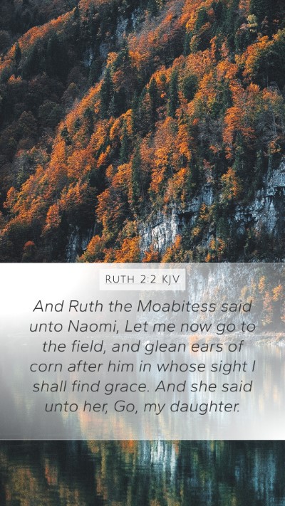 Ruth 2:2 KJV Bible Verse Image