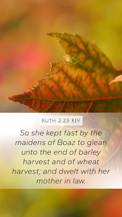 Ruth 2:23 KJV Bible Verse Image