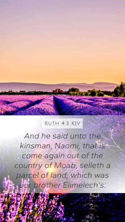 Ruth 4:3 KJV Bible Verse Image
