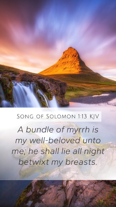 Song of Solomon 1:13 KJV Bible Verse Image