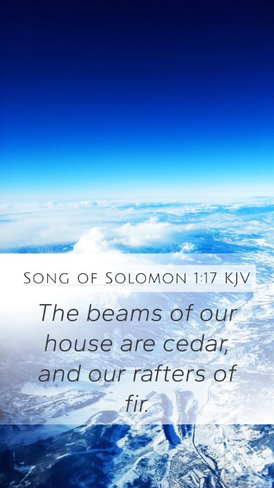 Song of Solomon 1:17 KJV Bible Verse Image