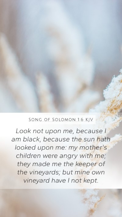 Song of Solomon 1:6 KJV Bible Verse Image