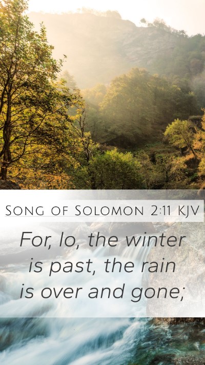 Song of Solomon 2:11 KJV Bible Verse Image