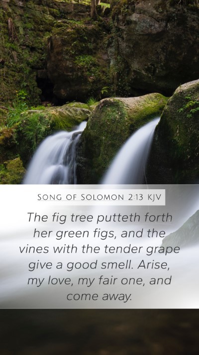 Song of Solomon 2:13 KJV Bible Verse Image