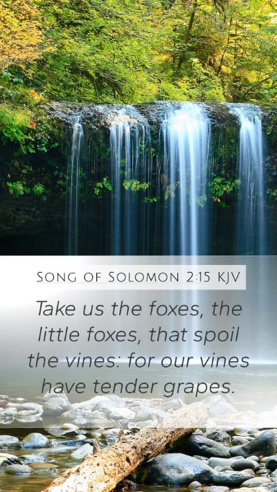 Song of Solomon 2:15 KJV Bible Verse Image
