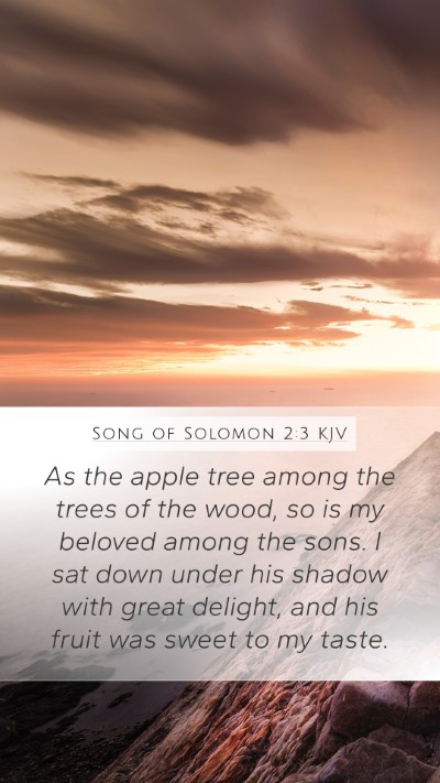 Song of Solomon 2:3 KJV Bible Verse Image