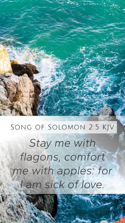 Song of Solomon 2:5 KJV Bible Verse Image