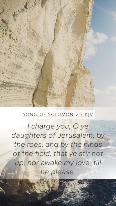 Song of Solomon 2:7 KJV Bible Verse Image