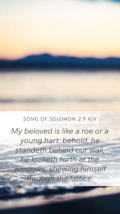 Song of Solomon 2:9 KJV Bible Verse Image