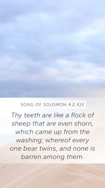Song of Solomon 4:2 KJV Mobile Phone Wallpaper - Thy teeth are like a flock of sheep that are even - Mobile Bible Verse Wallpaper