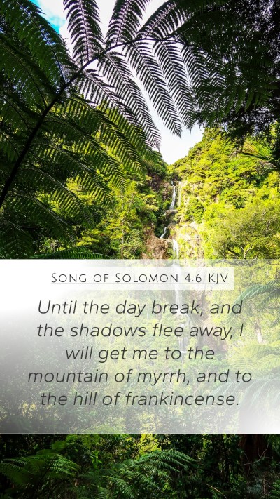 Song of Solomon 4:6 KJV Bible Verse Image