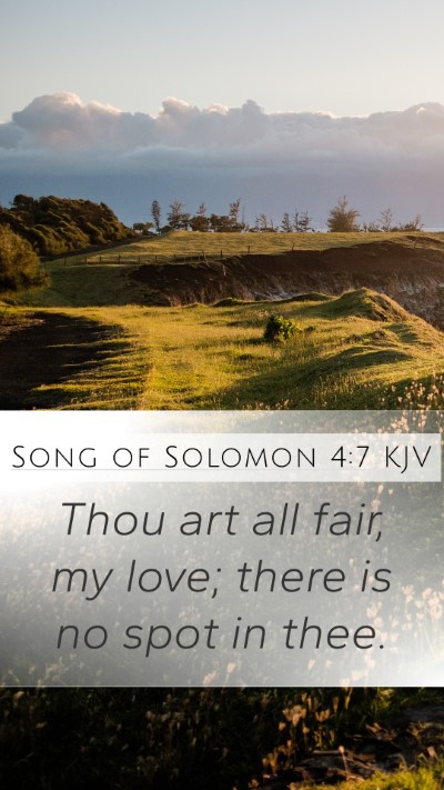 Song of Solomon 4:7 KJV Bible Verse Image