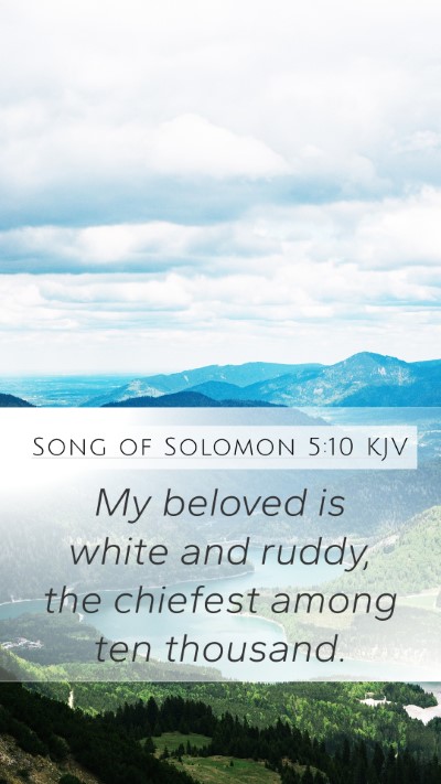 Song of Solomon 5:10 KJV Bible Verse Image