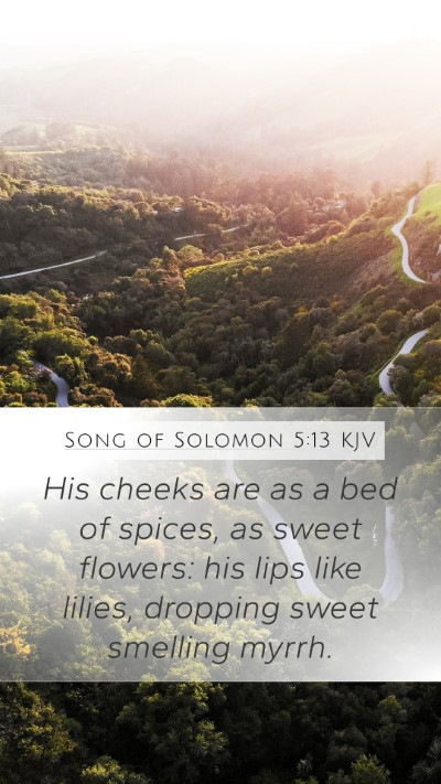 Song of Solomon 5:13 KJV Bible Verse Image