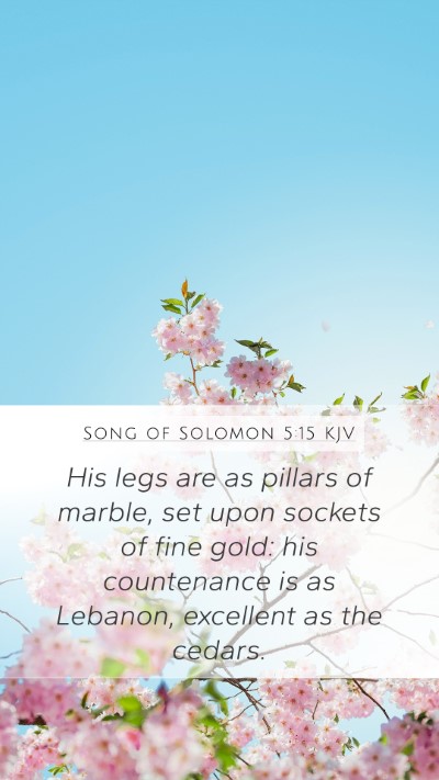 Song of Solomon 5:15 KJV Mobile Phone Wallpaper - His legs are as pillars of marble, set upon - Mobile Bible Verse Wallpaper