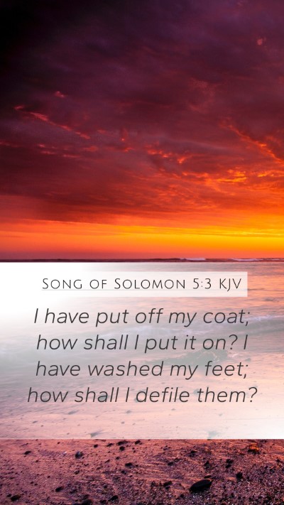 Song of Solomon 5:3 KJV Mobile Phone Wallpaper - I have put off my coat; how shall I put it on? I - Mobile Bible Verse Wallpaper
