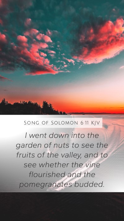 Song of Solomon 6:11 KJV Bible Verse Image